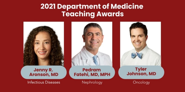 Teaching Awards for Infectious Diseases, Nephrology, and Oncology