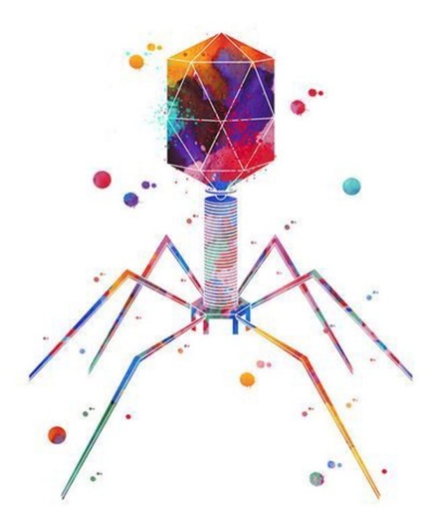 Phage treatment rainbow tinted image